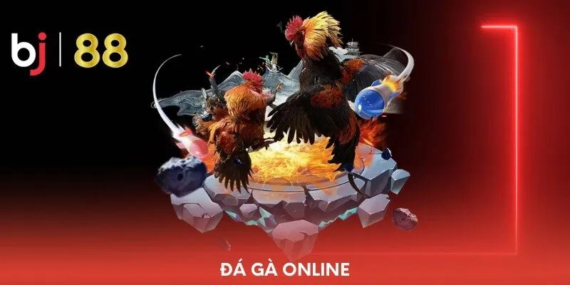 Đá gà bj88